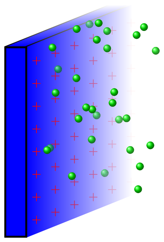 Membrane and Ions