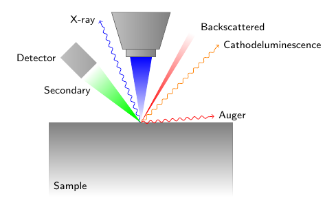 Mechanism of Scanning electron microscopy